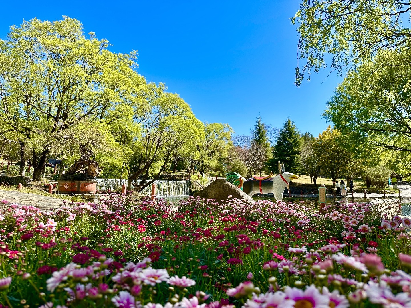 麗江旅游安全溫馨提示